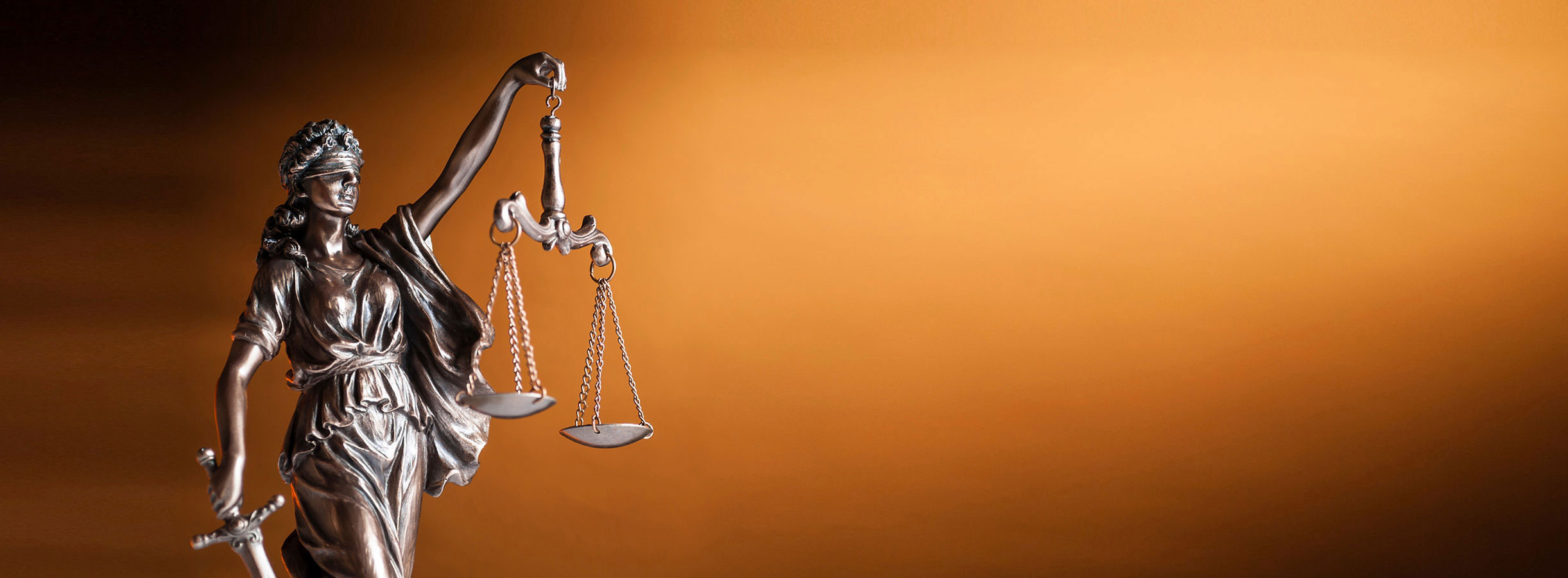 Contact Law Firm 11581